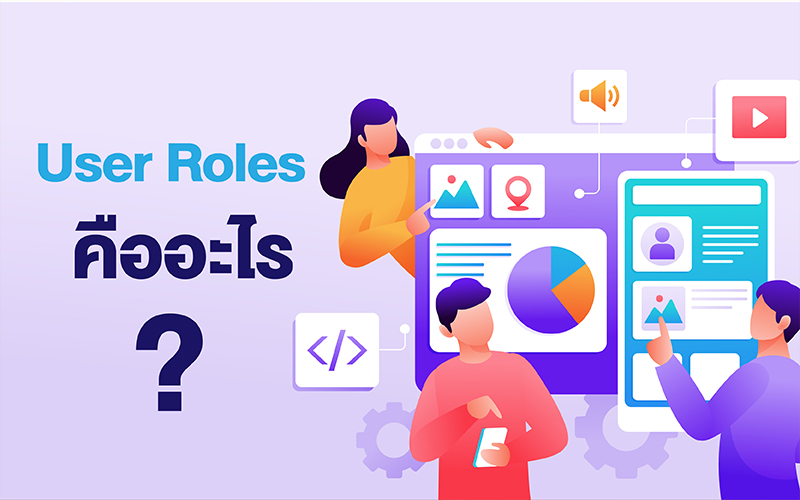 user roles มีอะไรบ้าง